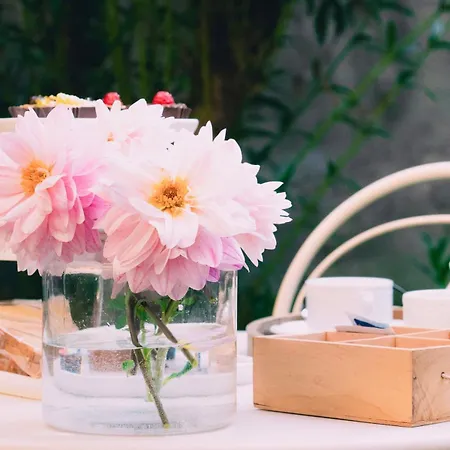 Carrara Deluxe ベルガモ